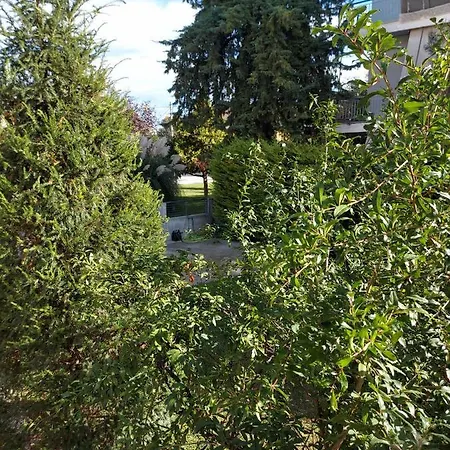 Square Apartment Trikala (Thessaly)